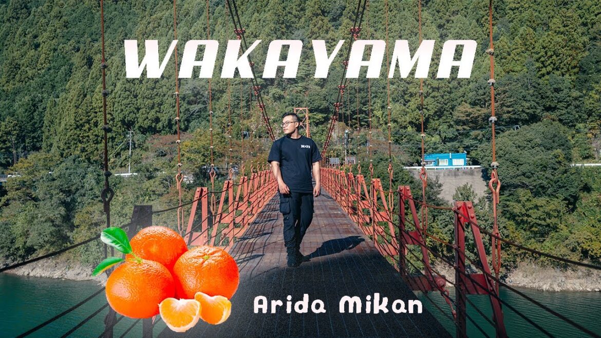 Một ngày ở thiên đường quýt Wakayama | Du lịch Nhật Bản | One day tour Osaka Một ngày ở thiên đường quýt Wakayama | Du lịch Nhật Bản | One day tour Osaka
