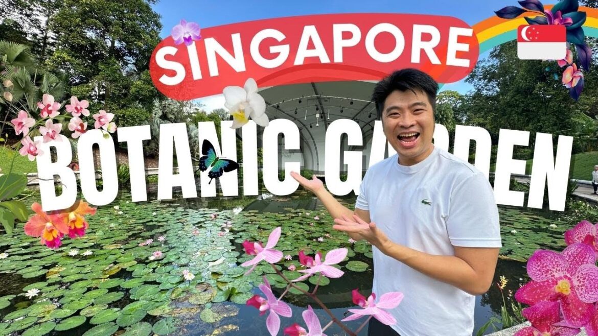 Singapore Botanic Gardens 🐌 A UNESCO World Heritage Site with world's largest Orchids collections
