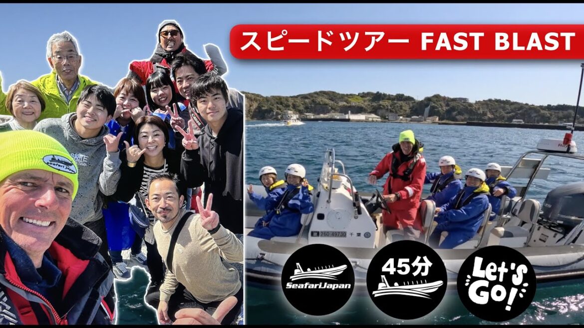 Seafari Japan Fast Blast Lets Go Seafari Japan Fast Blast Lets Go
