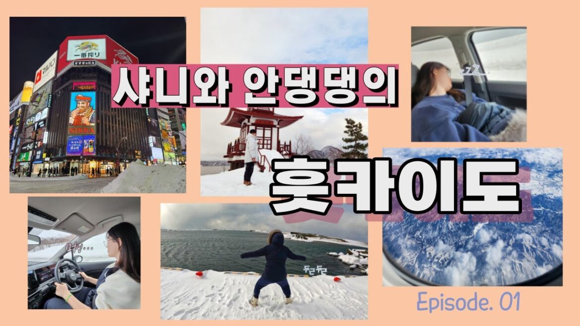 삿포로에서 북쪽으로 300km를 가보았습니다. - [홋카이도 여행 1편] vlog (Hokkaido(Sapporo) travel)