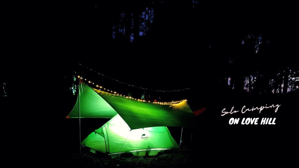 24 HOURS SOLO CAMPING ON LOVE HILL IN COLD WEATHER • SOUNDS OF NATURE • ASMR