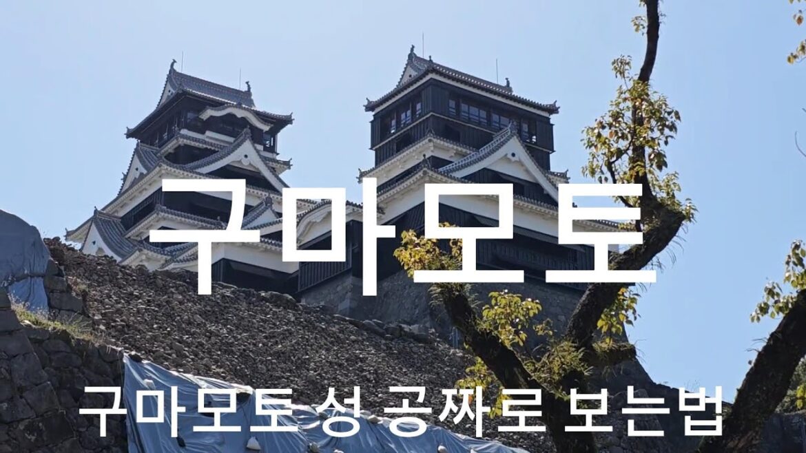 [구마모토 여행] 고쿠테이 라멘과 구마모토성 공짜투어