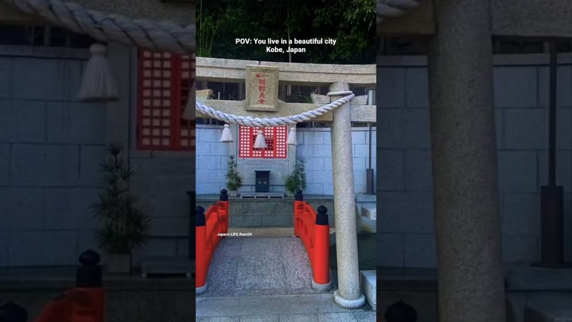 pov: you live in a beautiful city #kobe #japan #kobecity #shorts #日本 #travel #turist #viral #video