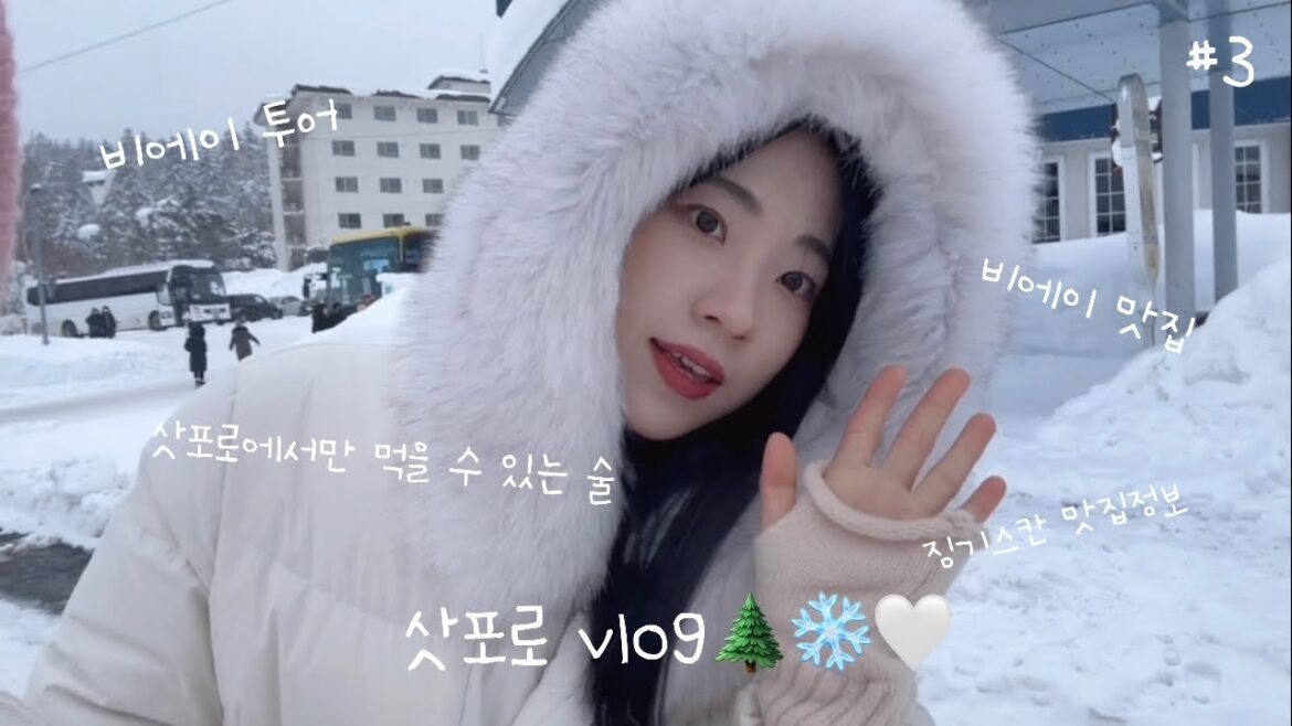 삿포로 vlog #3 | 비에이투어 꿀정보 방출 | 비에이 신상카페 | 징기스칸 맛집 이곳에 특별한 술 | 삿포로에서의 마지막 밤🌲🤍🌑