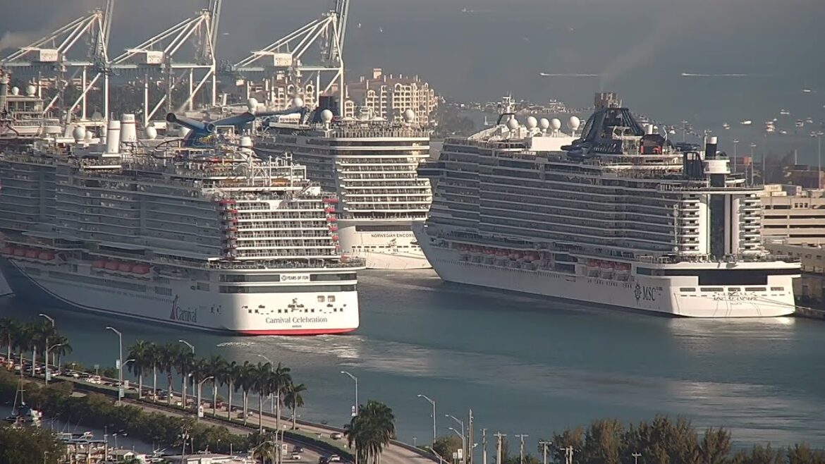 🔴 LIVE Port Miami Arrivals Cam 2 – March 20 2023 🔴 LIVE Port Miami Arrivals Cam 2 - March 20 2023