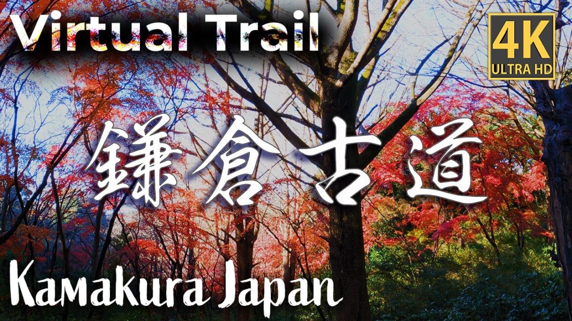[4K] JAPAN Kamakura VIRTUAL Trail 鎌倉トレイルで紅葉みてきた バーチャル