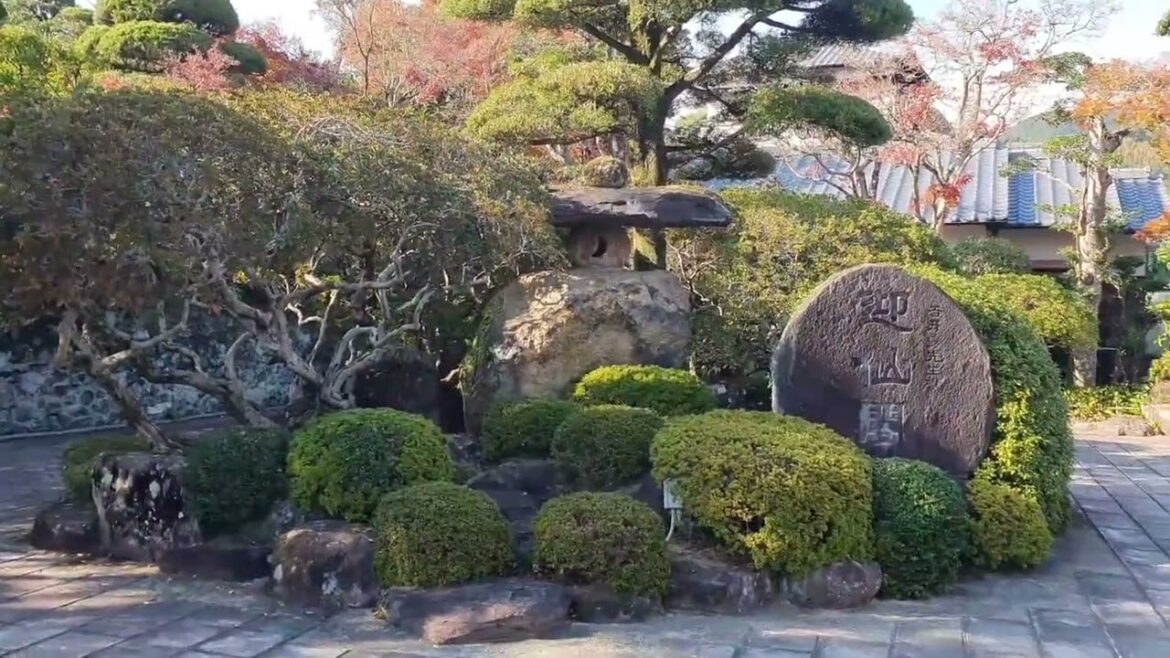 【Travel vlog🍀】DAY 3 เที่ยวนางาซากิ เดินช้อปปิ้ง ดูใบไม้เปลี่ยนสี ไปหาดทรายแก้ว ชิมเกี๊ยวซ่าคำเดียว