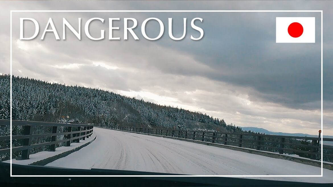 人生頭一遭在雪路上開車兜風 人生頭一遭在雪路上開車兜風