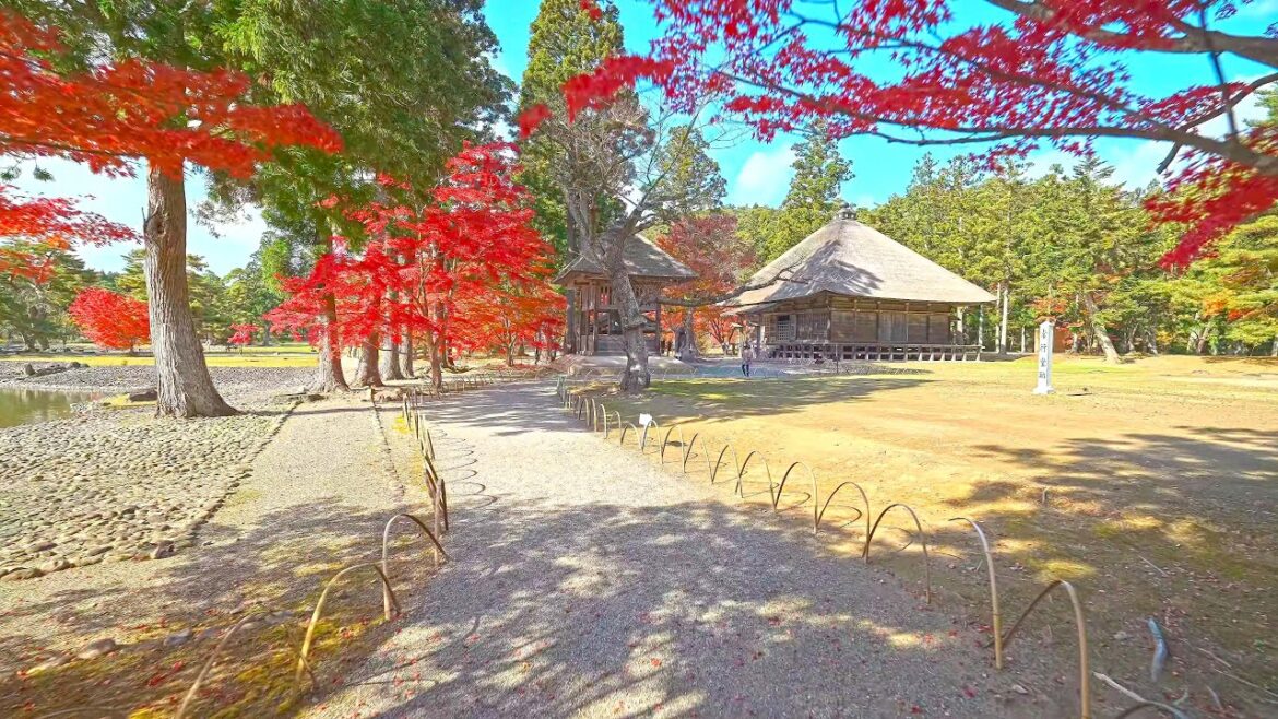 Exploring National Treasures and Autumn Foliage in Hiraizumi, Iwate・4K HDR