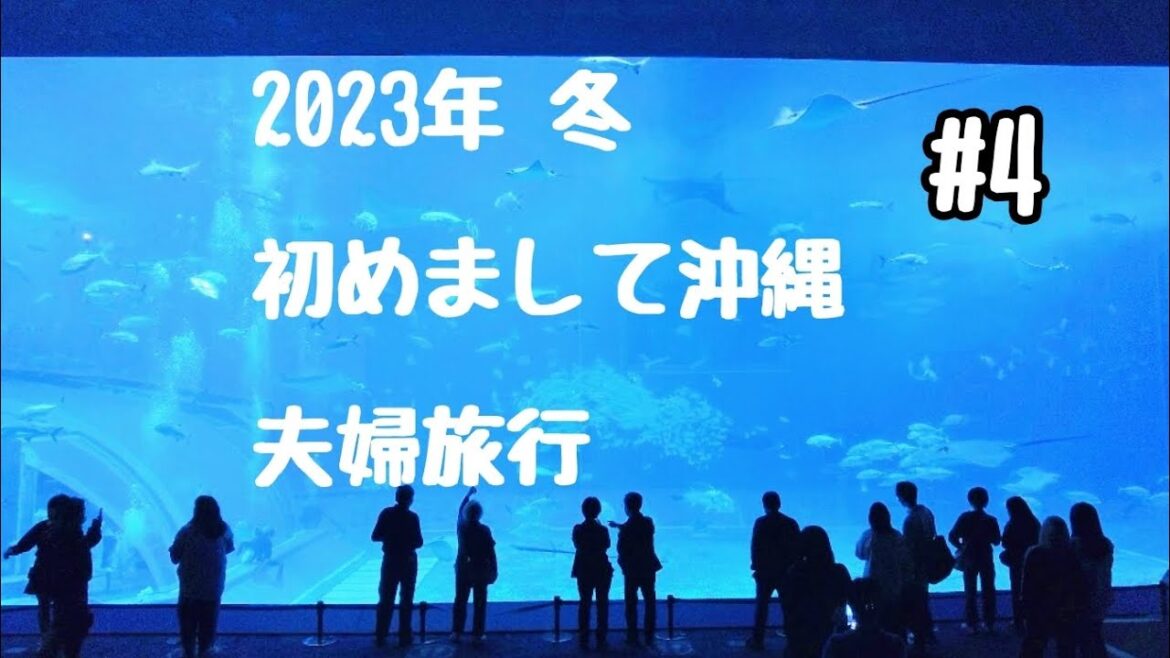#4 夫婦で沖縄旅行に行きました。2023年～冬～ #美ら海水族館  #御菓子御殿 #万座毛 #夫婦旅行 #vlog