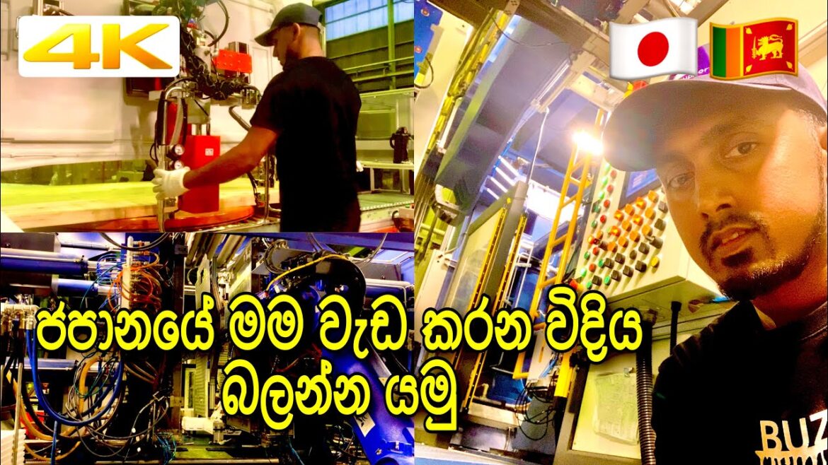 My Working Place in Japan | Japan Work | Japan Jobs | 2021 | ජපානයේ මම වැඩ කරන විදිය | 4K Video