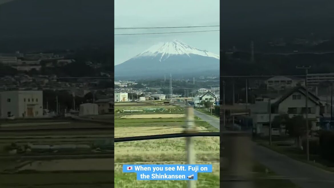 Japan's BULLET TRAIN experience: Passing by Mount Fuji #shorts #train #japan #travel #views