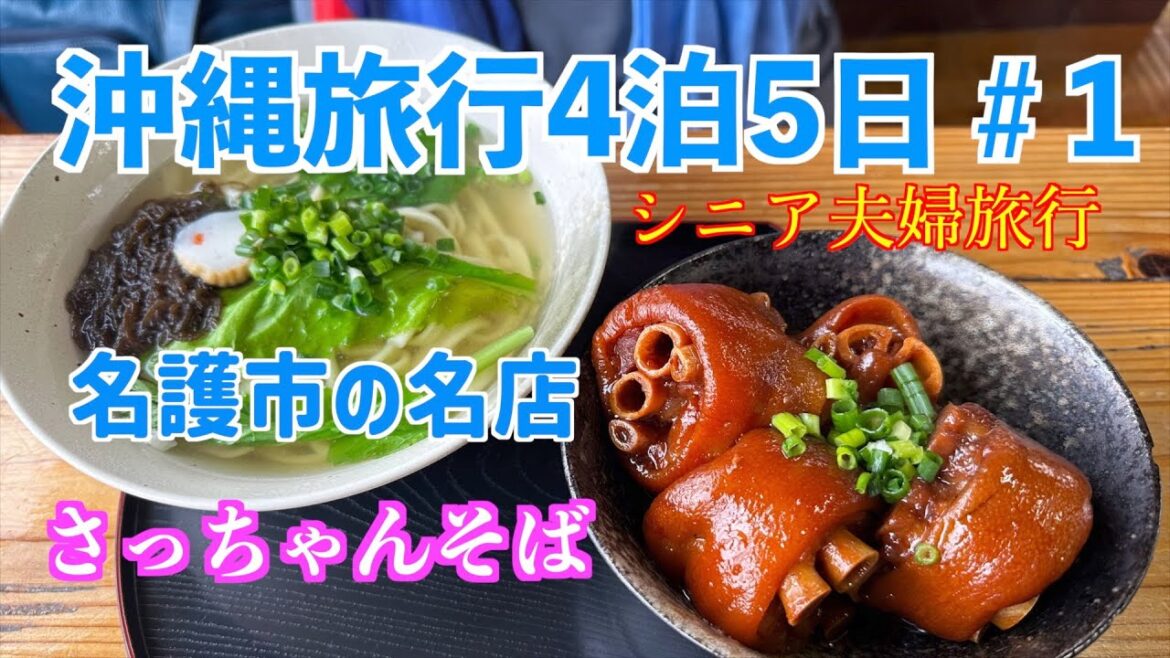 沖縄旅行４泊５日＃1【シニア夫婦旅行】名護市でソーキそばの名店さっちゃんでソーキそばを堪能。