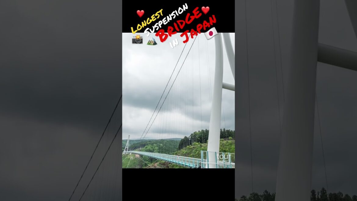 Mishima Skywalk in Izu Peninsula – Japan #shorts #izupeninsula #mishima #bridge #japan #travel Mishima Skywalk in Izu Peninsula - Japan #shorts #izupeninsula #mishima #bridge #japan #travel