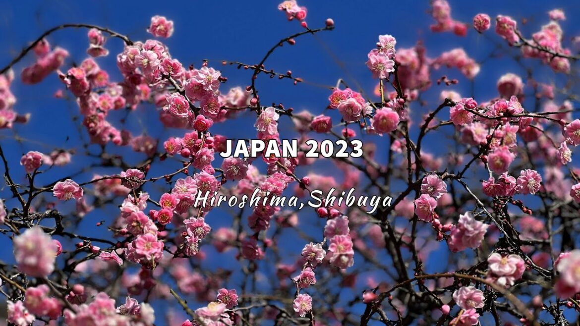 JAPAN 2023 | HIROSHIMA | SHIBUYA | TEAM LABS