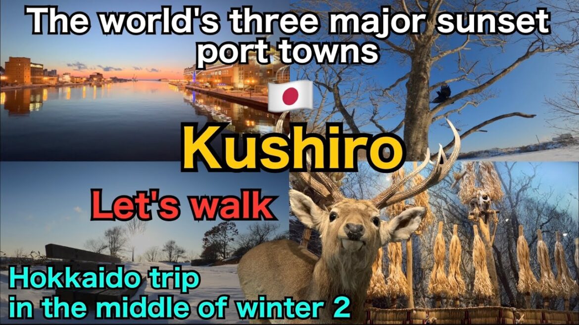 🇯🇵【 Kushiro 】Hokkaido trip in the middle of winter 2 / Travel to Japan