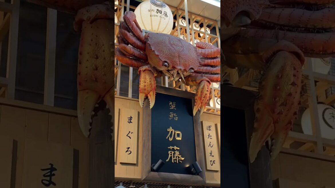 삿포로 시내 1분압축.zip #shorts #sapporo #일본여행 #삿포로 #스스키노 #삿포로역 #홋카이도 #札幌 #すすきの #札幌旅行