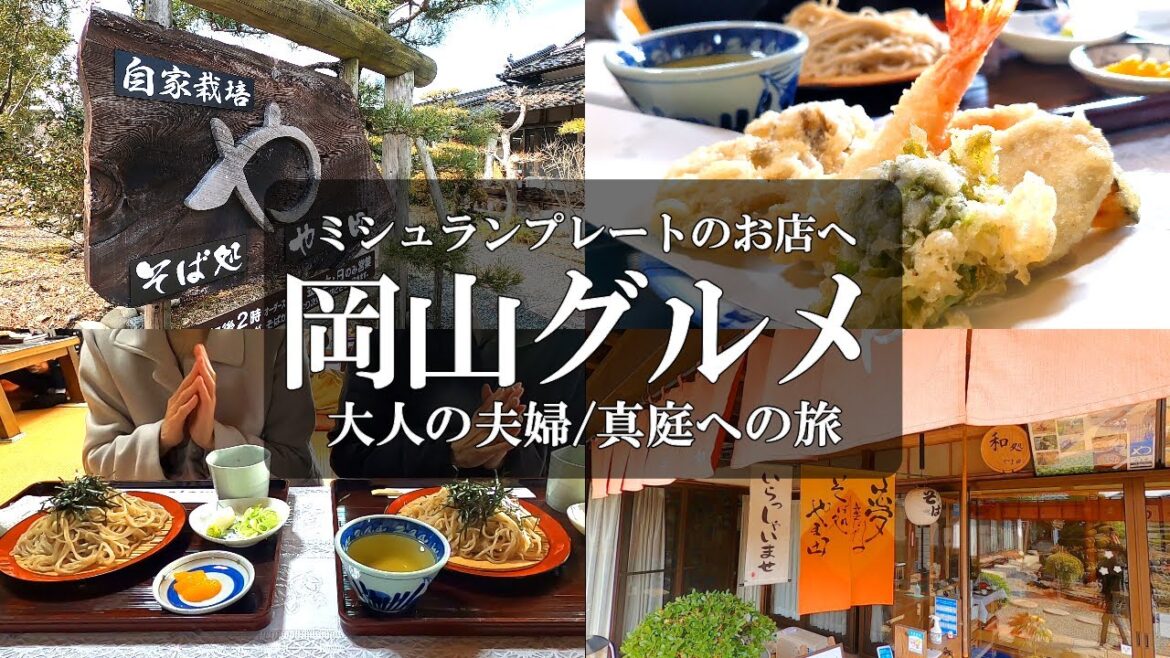 【岡山県北グルメvlog】ミシュランプレートのお店が凄かった‼️/蕎麦やま田/50代夫婦/アラフィフ夫婦