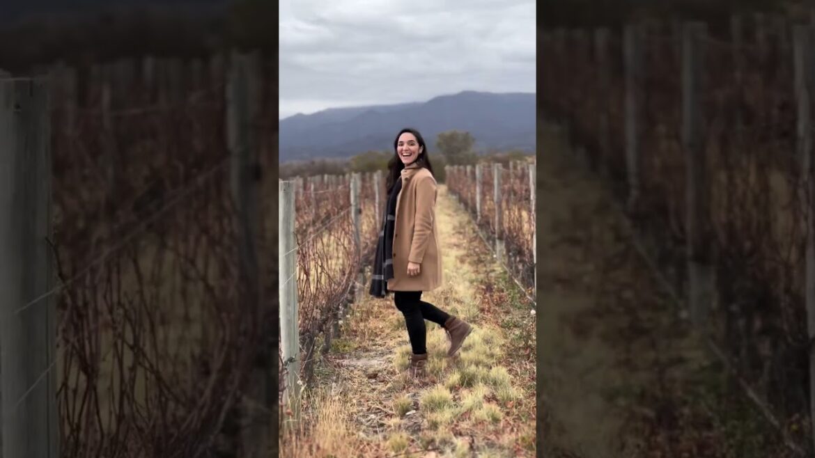 Is Argentina One Of The Best Travel Destinations In South America?  #shorts #argentina #buenosaires