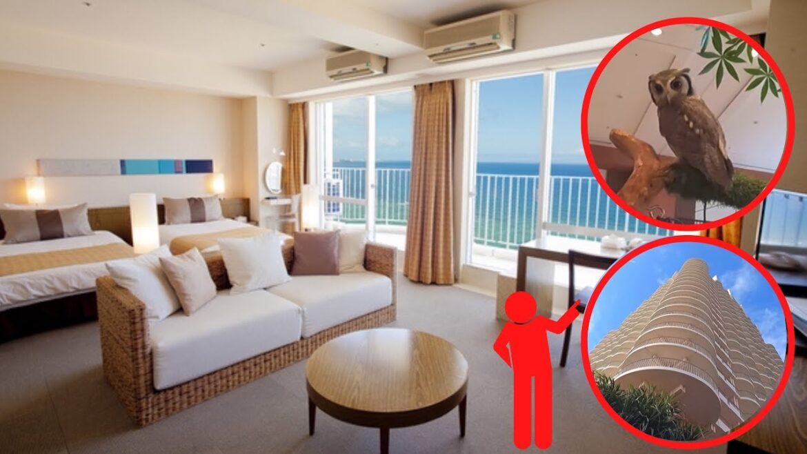 【絶景】日常から解き放たれる😴🛏南国の楽園リゾート🏨 【絶景】日常から解き放たれる😴🛏南国の楽園リゾート🏨