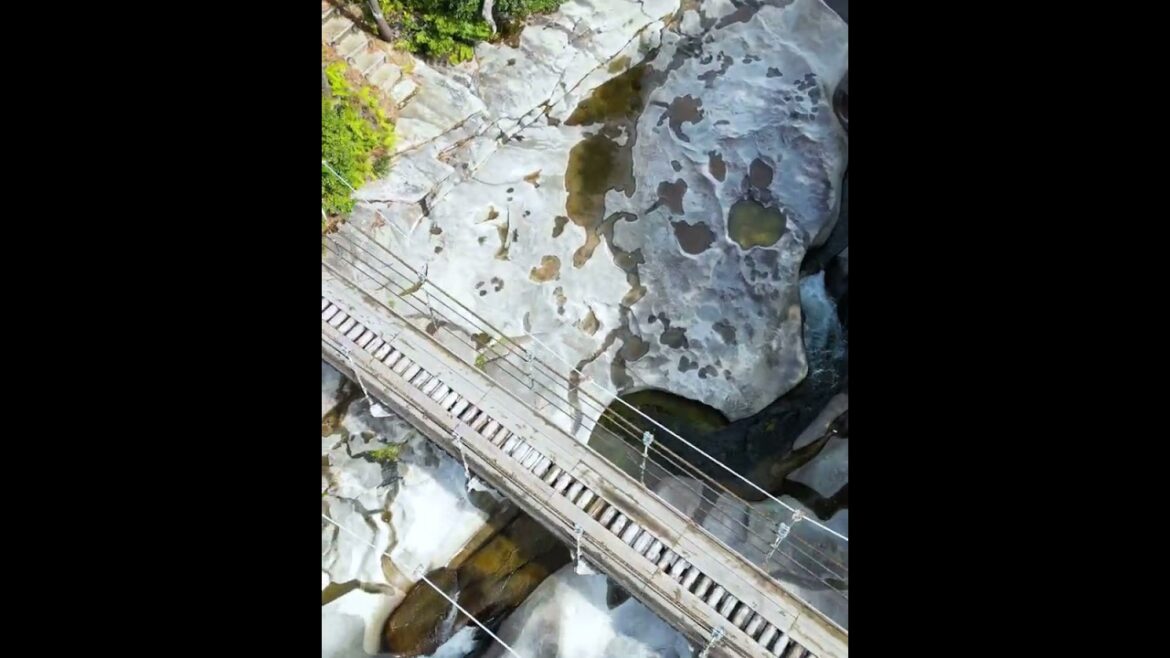 2023/03/18　鮎もどし自然公園　@対馬・長崎　vertical