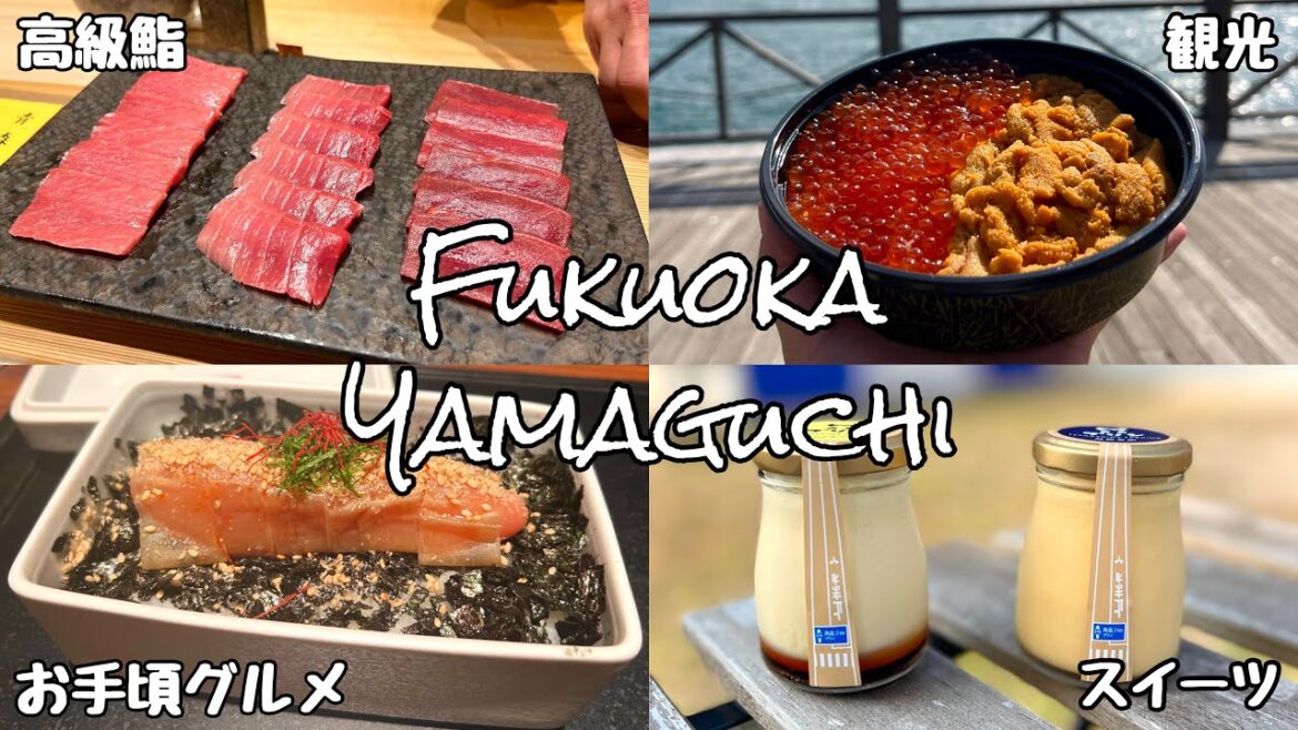 【福岡・山口旅行】絶品グルメ&おすすめスポット10選✨海鮮が最高すぎた🥺Trip for Fukuoka&Yamaguchi. 【福岡・山口旅行】絶品グルメ&おすすめスポット10選✨海鮮が最高すぎた🥺Trip for Fukuoka&Yamaguchi.