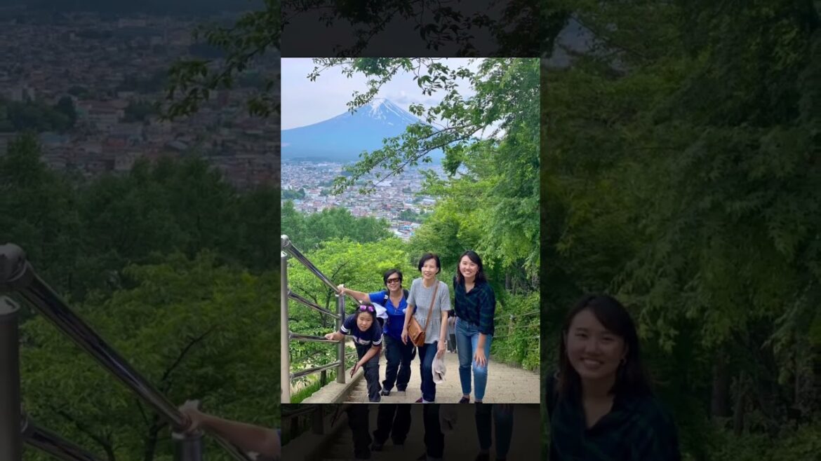 Mount FUJI Private TOUR from Tokyo - highlight - GRANDLIVE