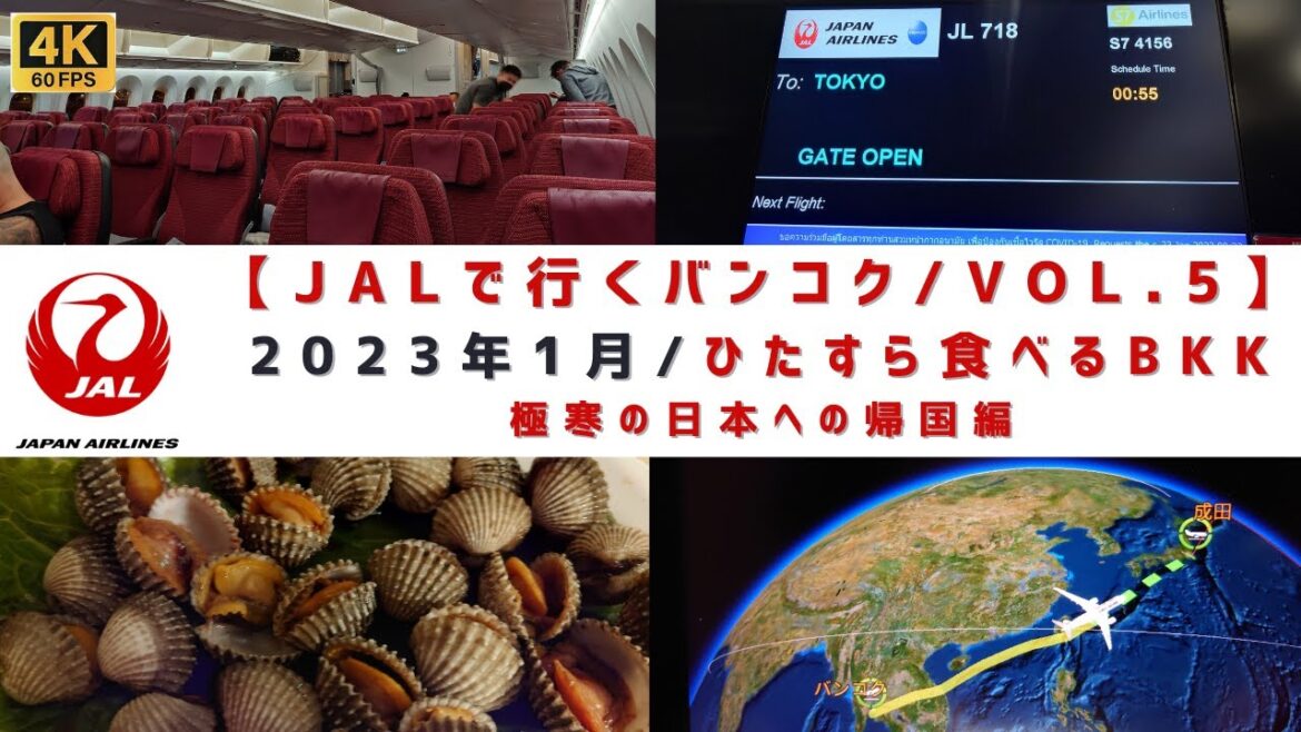 [4K60]【2023年1月/ひたすら食べるバンコクグルメの旅/VOL.5/シリーズ完結編】残りの食事一気見せ＆滞在最終日～日本帰国編