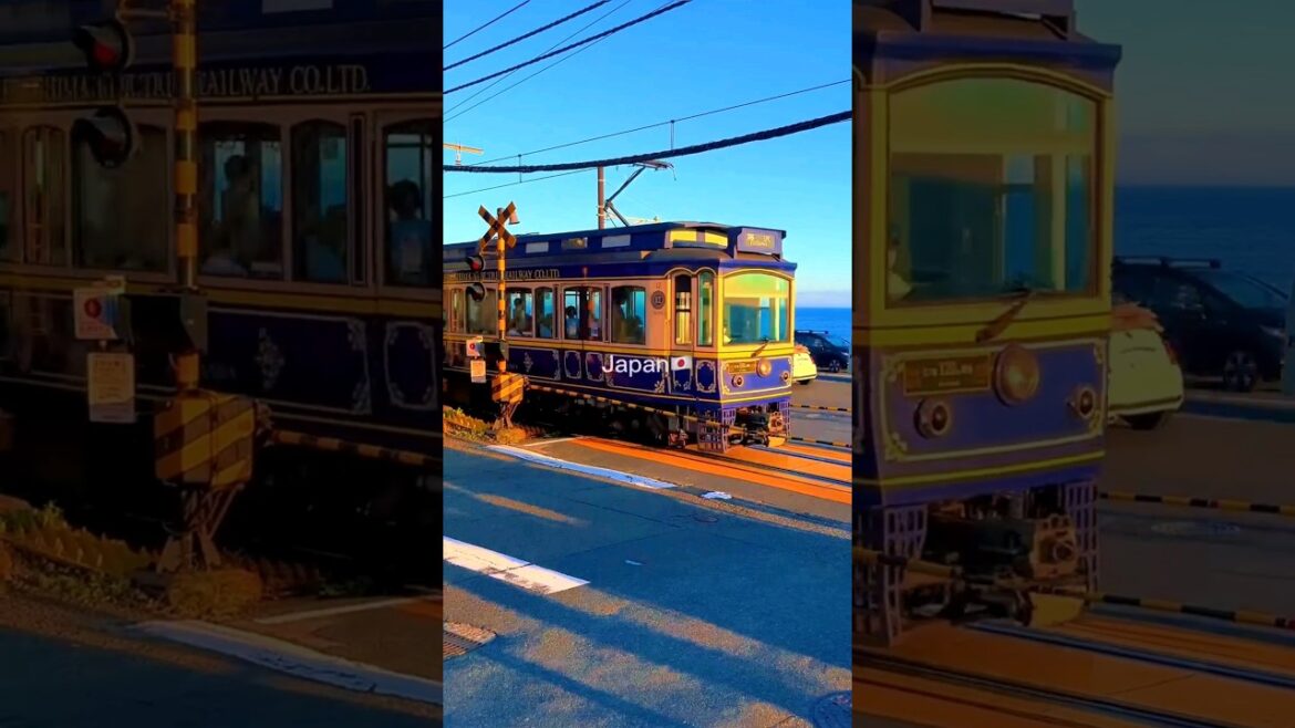 Japan ♥️🇯🇵#shorts #vacation #japan