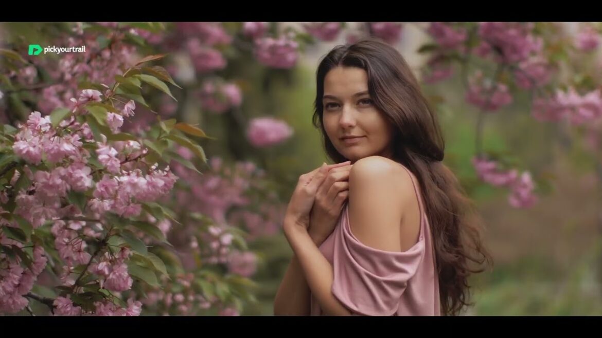 SPRING SEASON in Japan | Visit Japan during the cherry blossom month