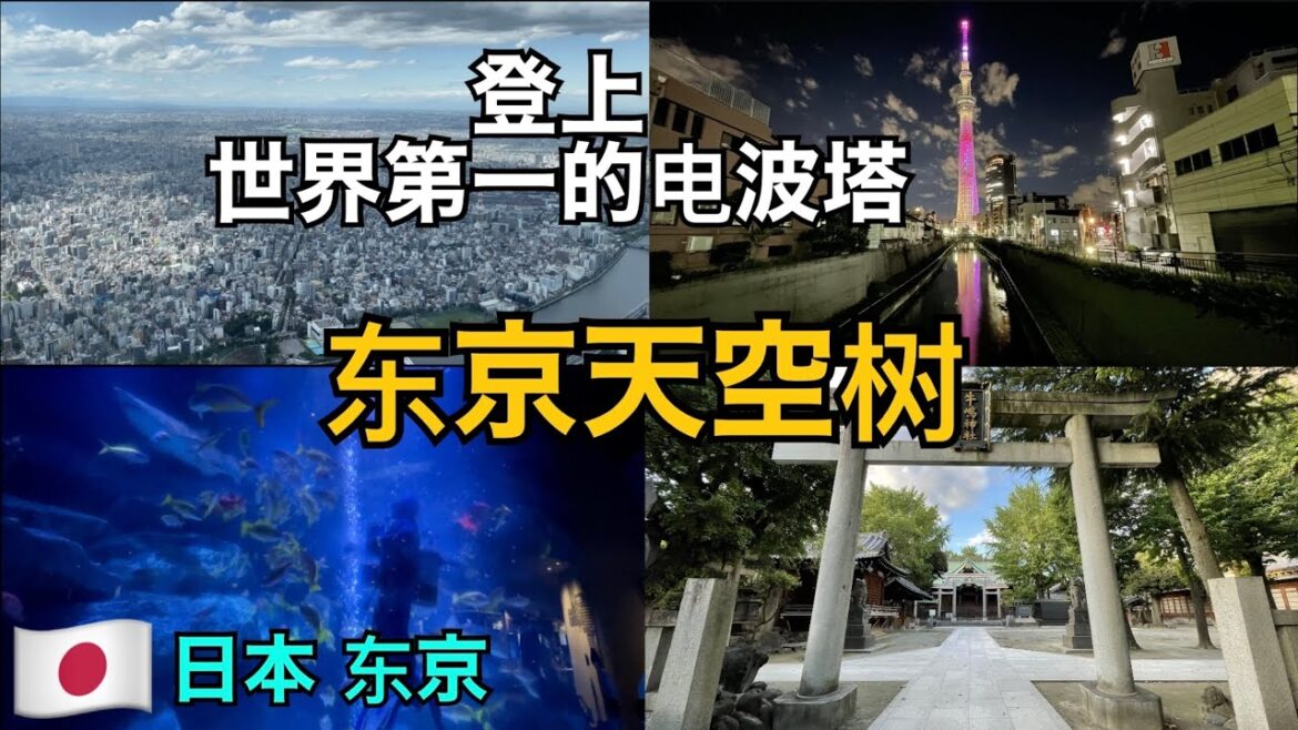 🇯🇵【 东京天空树 】介绍634米的世界最高的电波塔和周围的街道。　东京街巡游　墨田水族馆　北海道寿司特里顿　东京天空町