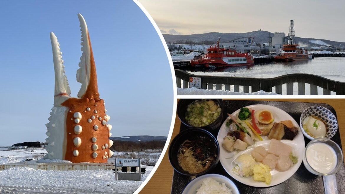 Mombetsu Hokkaido Japan - Drift Ice Cruise Tour 2023🛫