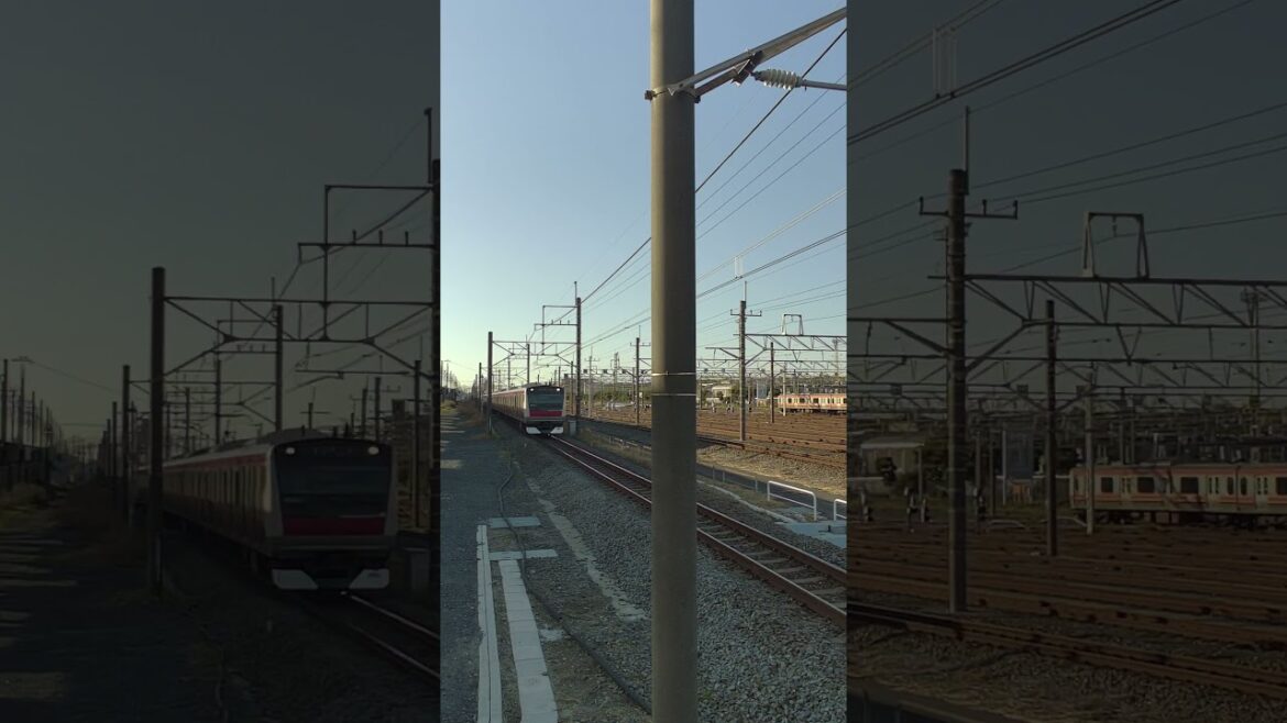 千葉県千葉市美浜区 JR京葉線 幕張豊砂駅1番線を通過する E233系