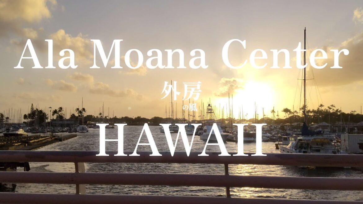【3分間フィルム】日本男児が行く！アラモアナショッピングセンターを探索 in HAWAII