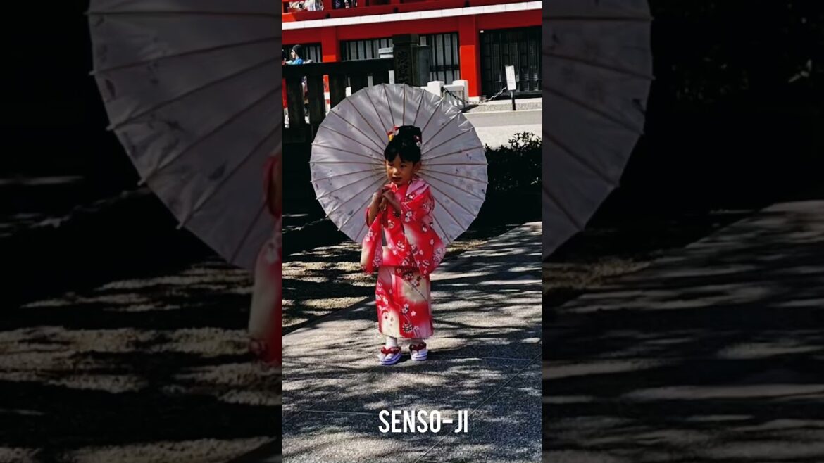 Tour di #Tokyo in attesa di partire per il Cammino del Kumano Kodo #apiediperilmondo #kumanokodo