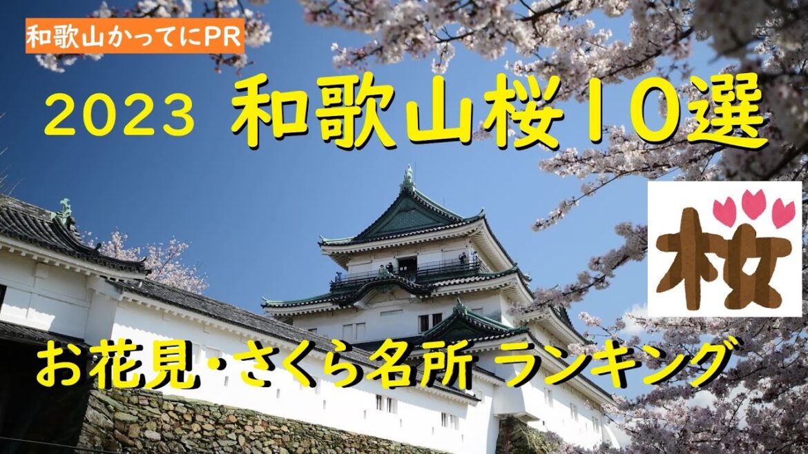 お花見桜名所ランキング2023【和歌山かってにPR】第321回「和歌山桜10選」和歌山で見るべき桜 全国お花見ガイド2023年版 和歌山県 わかやま桜情報🌸 お花見桜名所ランキング2023【和歌山かってにPR】第321回「和歌山桜10選」和歌山で見るべき桜 全国お花見ガイド2023年版 和歌山県 わかやま桜情報🌸