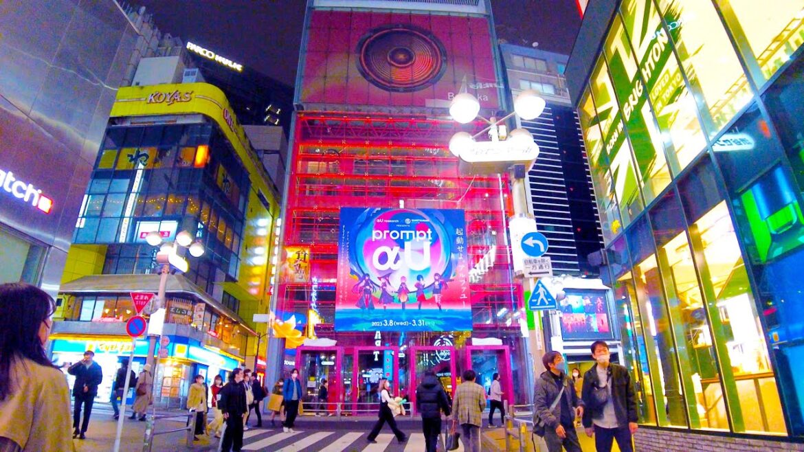 Shibuya in Tokyo 🐶🍻 Meeting at night♪💖4K ASMR non-stop 1 hour 05 minutes Shibuya in Tokyo 🐶🍻 Meeting at night♪💖4K ASMR non-stop 1 hour 05 minutes