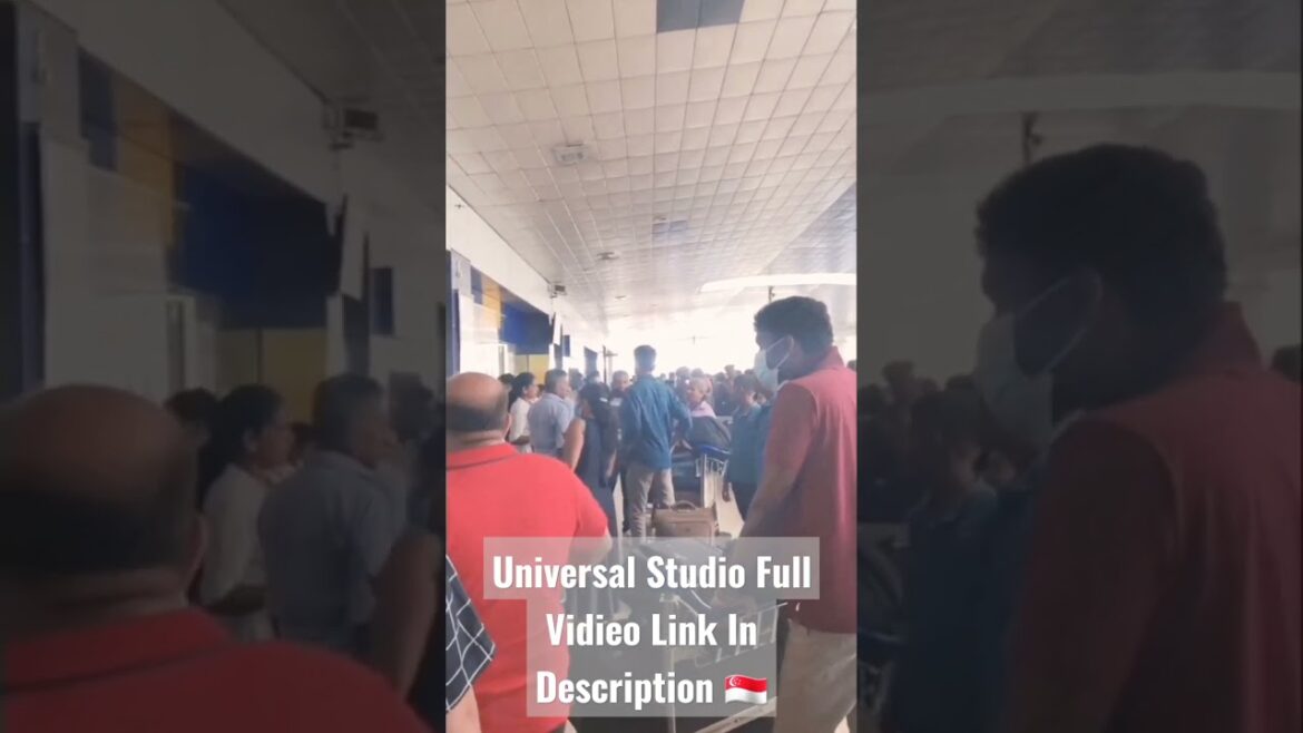 Singapore සංචාරය | Hollywood Universal Studio ✈️ #youtube #shorts_ #universalstudiosingapore Singapore සංචාරය | Hollywood Universal Studio ✈️ #youtube #shorts_ #universalstudiosingapore