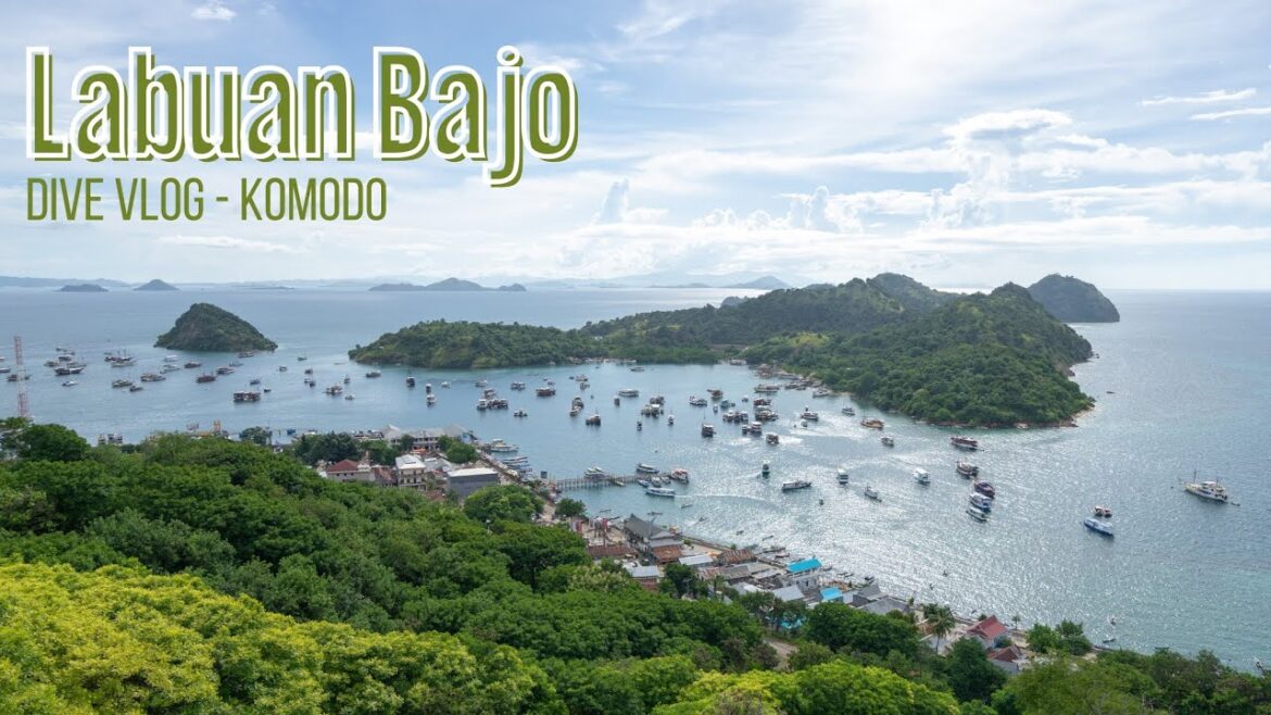 Chapter 1: Labuan Bajo - Blue Marlin Dive