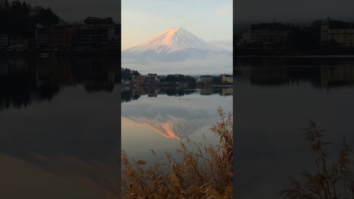 📍 Lake Kawaguchi in front of Mt. Fuji Sunrise #sunrise #travel #japan #mtfuji #LakeKawaguchi