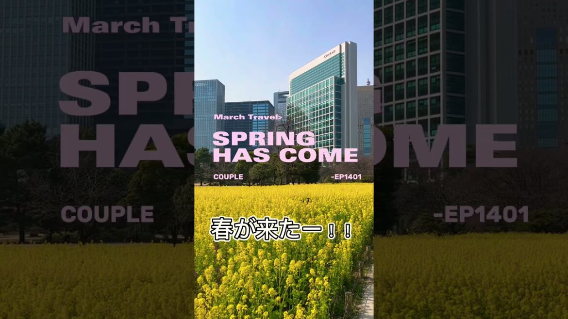 春が来た!Spring has come!!#shorts #spring #hotel 春が来た!Spring has come!!#shorts #spring #hotel