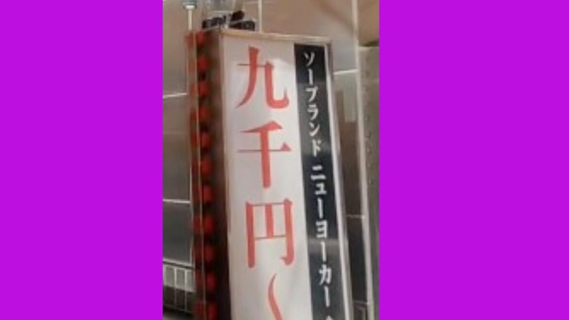 すすきの第三弾:北海道繁華街 飲み屋街 ソープランド、スナック、キャバクラ すすきの第三弾:北海道繁華街 飲み屋街 ソープランド、スナック、キャバクラ
