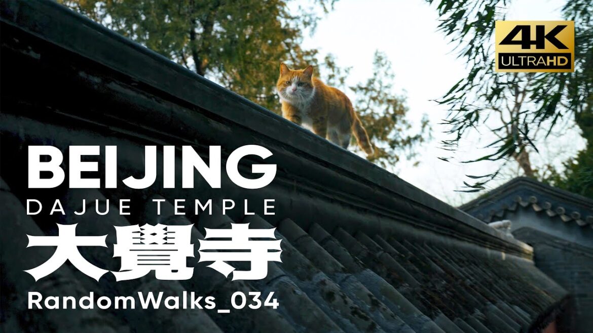 【4K】DAJUE TEMPLE aka Temple of Enlightenment | Day Walk in Beijing | 游走京西大觉寺 | 无量寿佛 | 迦陵舍利塔 【4K】DAJUE TEMPLE aka Temple of Enlightenment | Day Walk in Beijing | 游走京西大觉寺 | 无量寿佛 | 迦陵舍利塔
