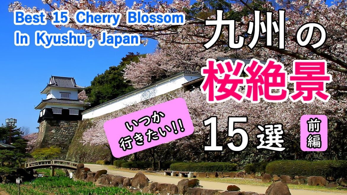 九州の桜絶景 ベスト15選(前編) / 大村公園・唐津城・福岡城・岡城跡など / Best 15 Cherry Blossom (Sakura) in Kyushu, Japan Part 1 九州の桜絶景 ベスト15選(前編) / 大村公園・唐津城・福岡城・岡城跡など / Best 15 Cherry Blossom (Sakura) in Kyushu, Japan Part 1