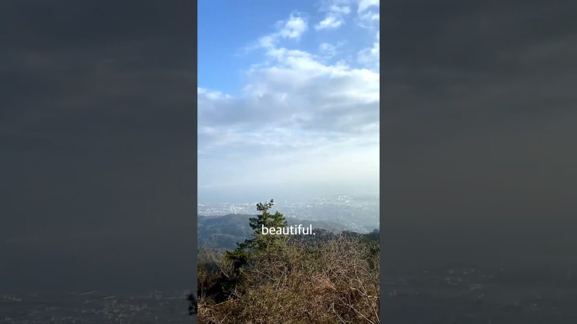 The 10 MILLION dollar view in Kobe, Japan #japantravel