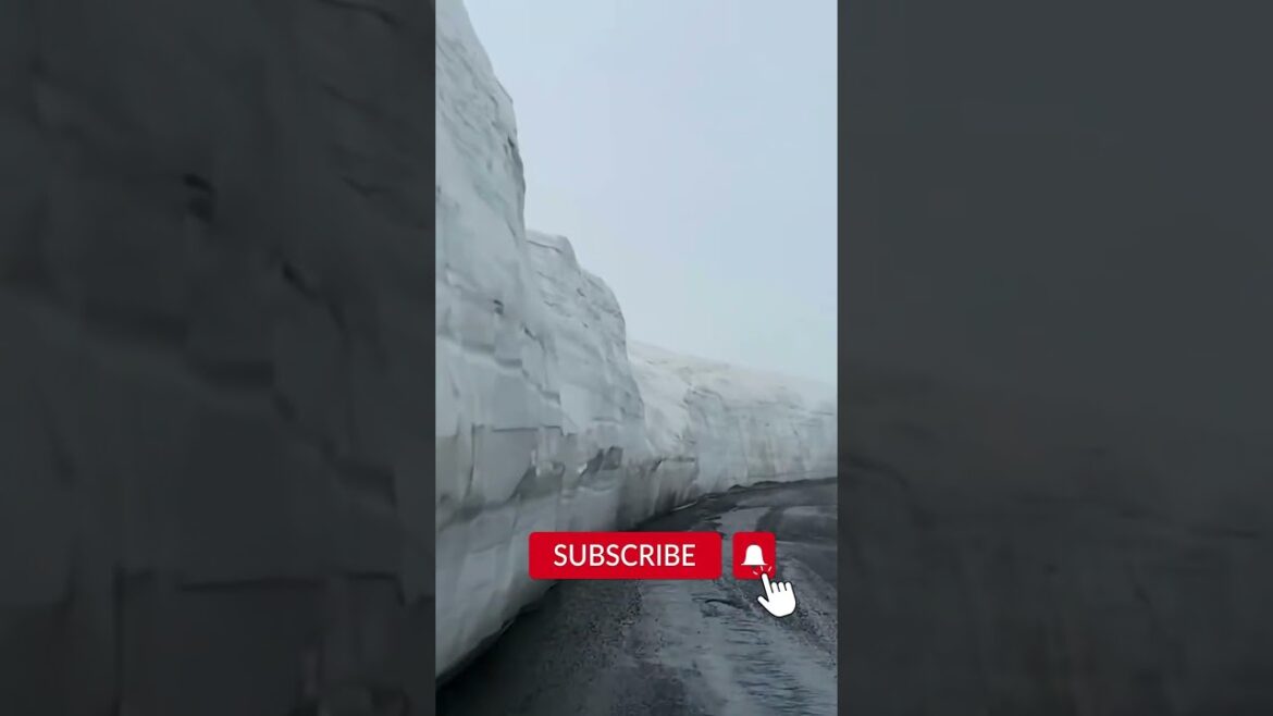 Get Ready for Jaw-Dropping Travel Shorts - 🔥What Are They? 🔥