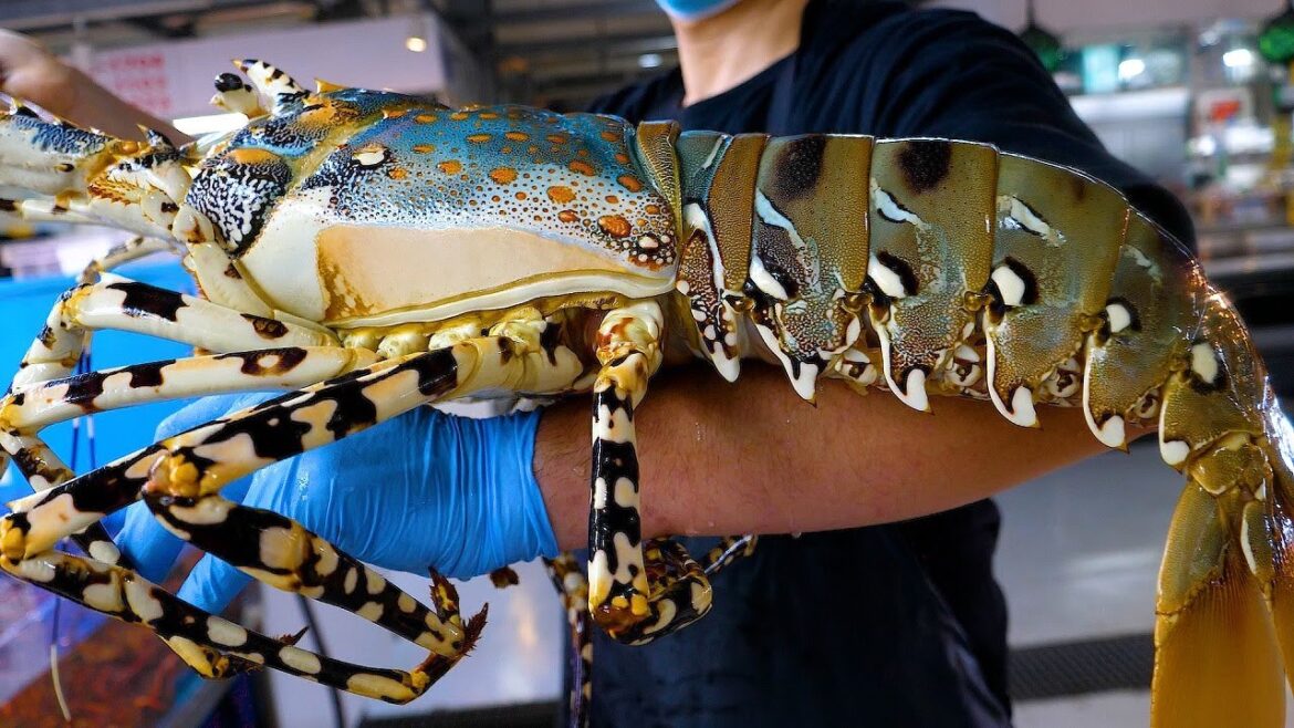 오키나와 겨울 별미, 수산시장 초대형 닭새우, 무지개 앵무고기, 독가시고기 오키나와 겨울 별미, 수산시장 초대형 닭새우, 무지개 앵무고기, 독가시고기