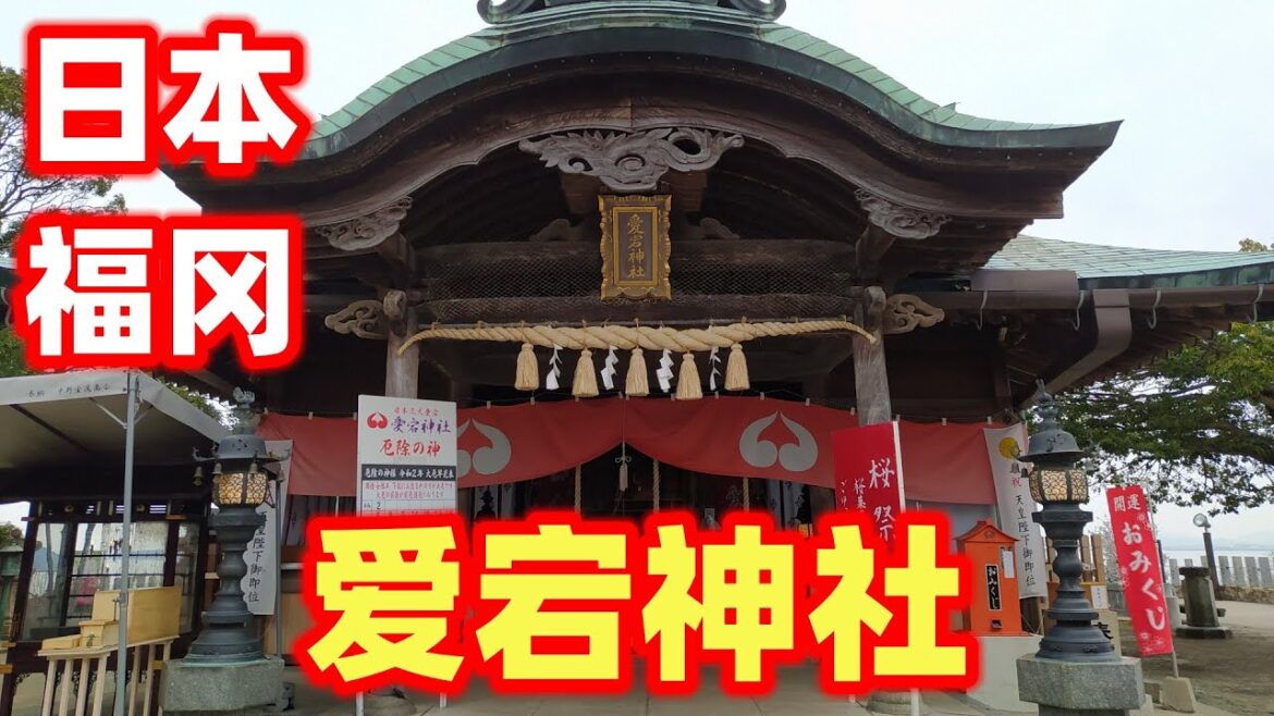 【日本福冈6】实拍福冈爱宕神社，这座神社历史非常悠久，是日本三大爱宕神社之一 | Visiting Atago Shrine in Fukuoka