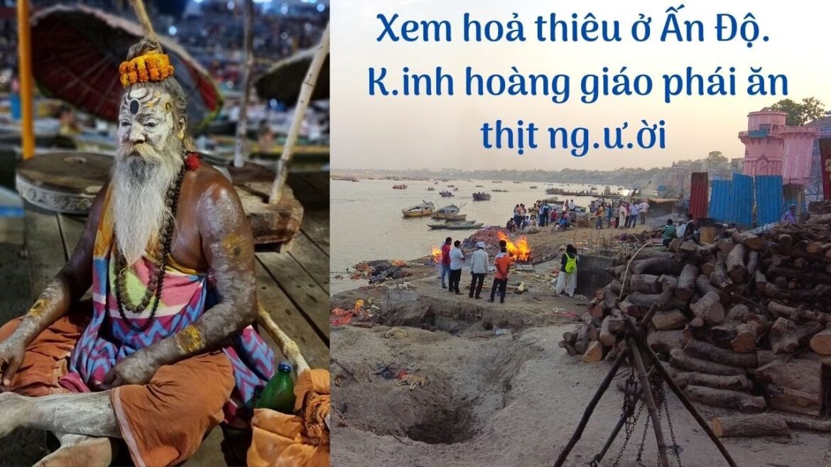 Ấn Độ: Tục hoả thiêu và các dị nhân bên sông Hằng ở Varanasi | Vlog du lịch trải nghiệm 🇮🇳 Ấn Độ: Tục hoả thiêu và các dị nhân bên sông Hằng ở Varanasi | Vlog du lịch trải nghiệm 🇮🇳