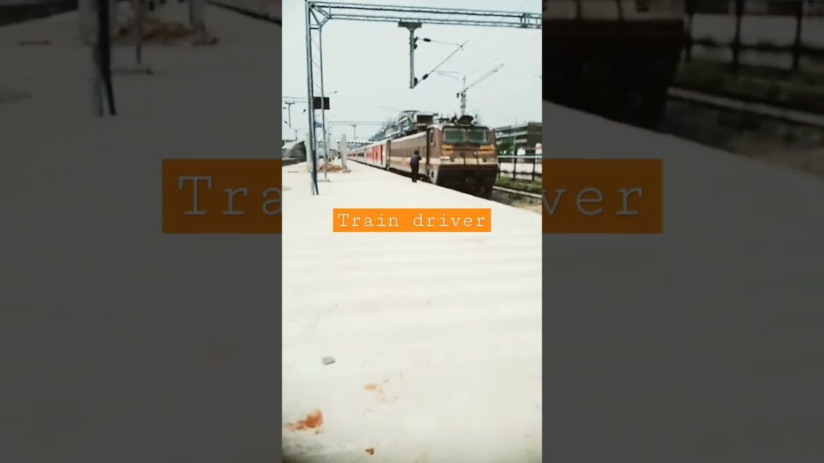 train driver of Indian Railways🚎 #shorts #youtubeshorts #shortsvideo #indianrailways #virelshorts train driver of Indian Railways🚎 #shorts #youtubeshorts #shortsvideo #indianrailways #virelshorts